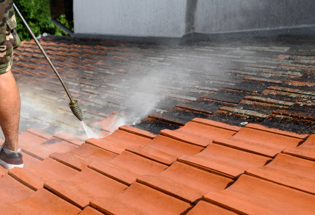 Best Affordable Pressure Washing  in Hallandale Beach, FL