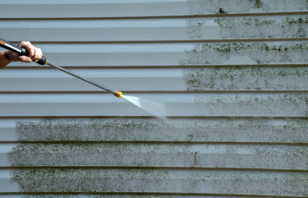 Why Choose Our Certified Pressure Washing Experts for Your Project Needs in Hallandale Beach, FL?