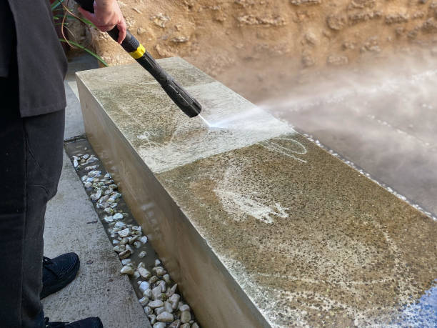 Best Pressure Washing Company Near Me  in Hallandale Beach, FL