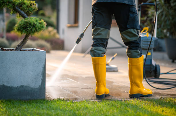 Best Power Washing Near Me  in Hallandale Beach, FL